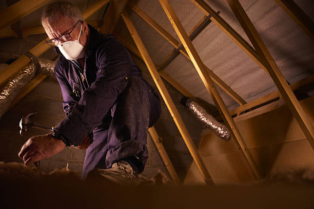Best Insulation Removal Services  in Avoca, IA